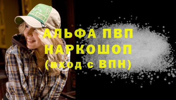 СК Осинники