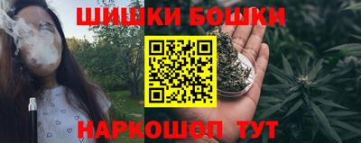 spice Дубна