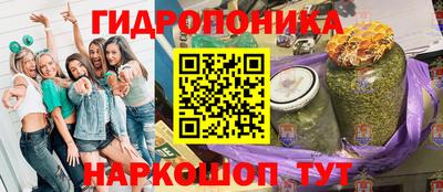 твердый Гусев