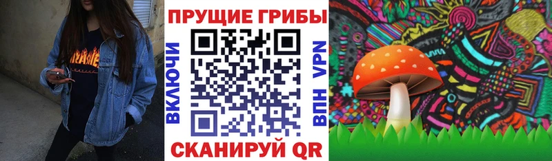 магазин  наркотиков  Луга  Галлюциногенные грибы MAGIC MUSHROOMS 
