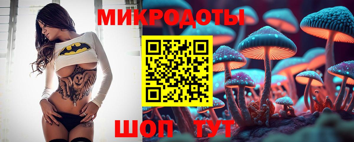 где продают наркотики  Вход с VPN  Галлюциногенные грибы мухоморы  Луга  Псилоцибиновые грибы мицелий 